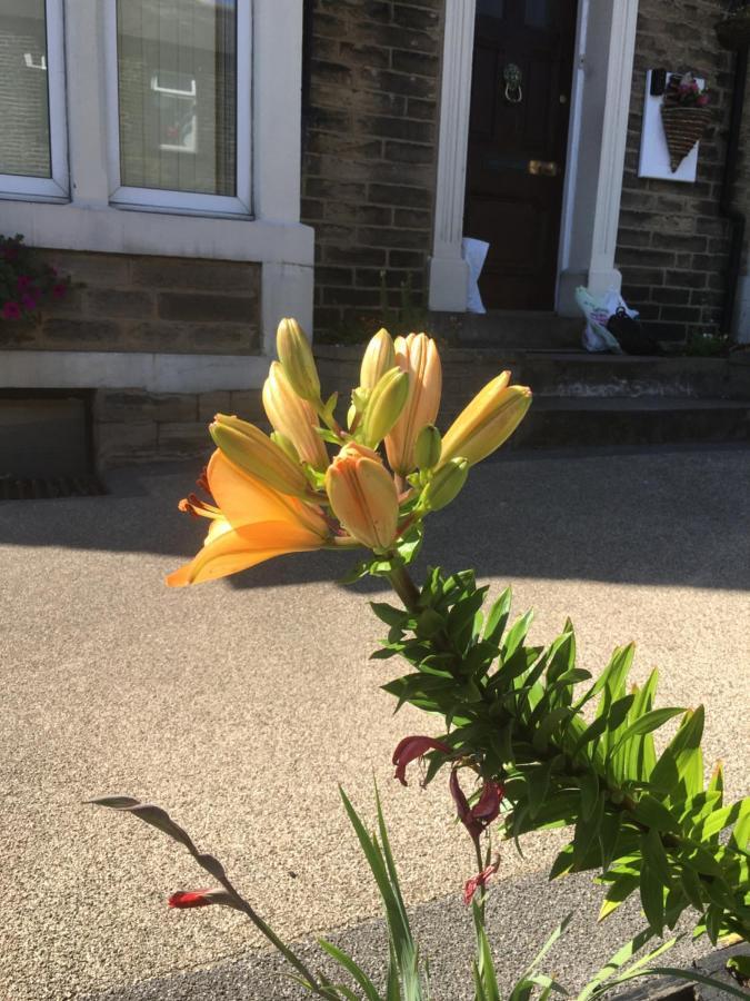 Highfield Guesthouse Skipton Εξωτερικό φωτογραφία